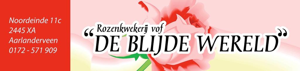 Bloemen Kado Shop: De Blijde Wereld Verse Rozen - Boeketten - Bloemstukken en Rouwwerk