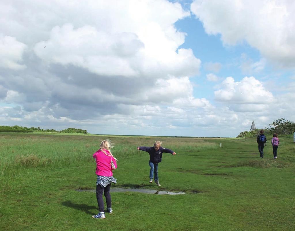 en Interreg. Voor het totale Waddengebied is een afgewogen investeringsmix nodig om alle beschikbare financiële middelen zo effectief en efficiënt mogelijk in te zetten.