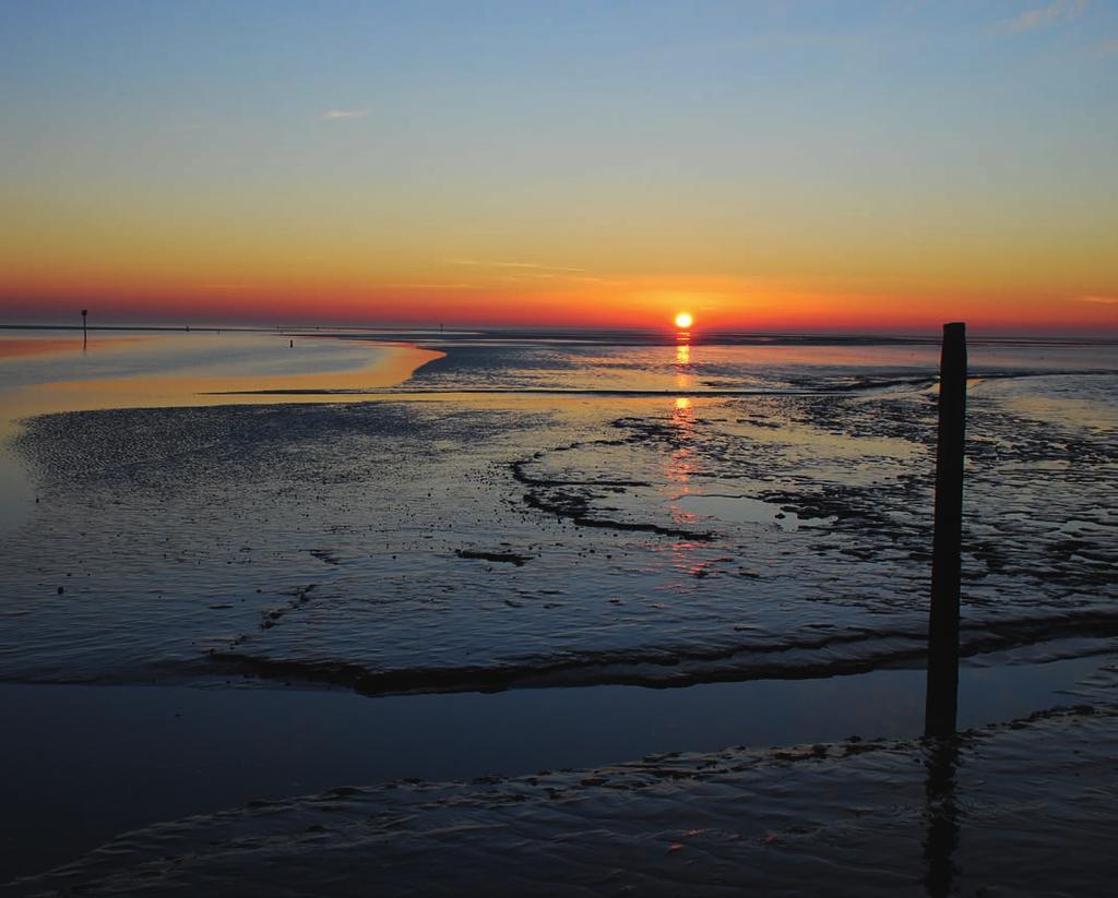 De Waddenzee heeft de status van Werelderfgoed en is één van de weinige natuurgebieden in Nederland waar de natuur grotendeels vrij spel heeft.