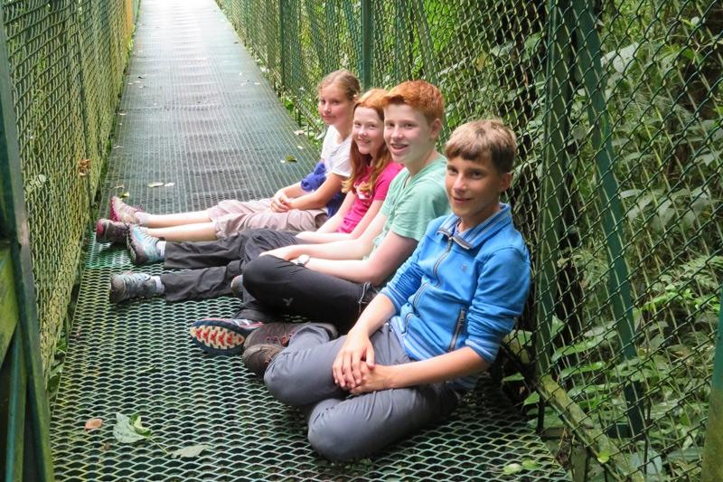 TIP: Er hangen in Monteverde acht hangbruggen (waarvan de langste 170 meter is) tussen de boomtoppen van het nevelwoud. Je hebt zo een mooi zicht over het bos.