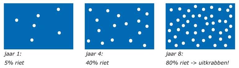 Zoals eerder genoemd verbossen natuurvriendelijke oevers met extensief onderhoud uiteindelijk.