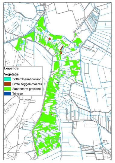 Vegetatie-ontwikkeling Gastersche diep door vernatting 1996: verdroogd door sloten