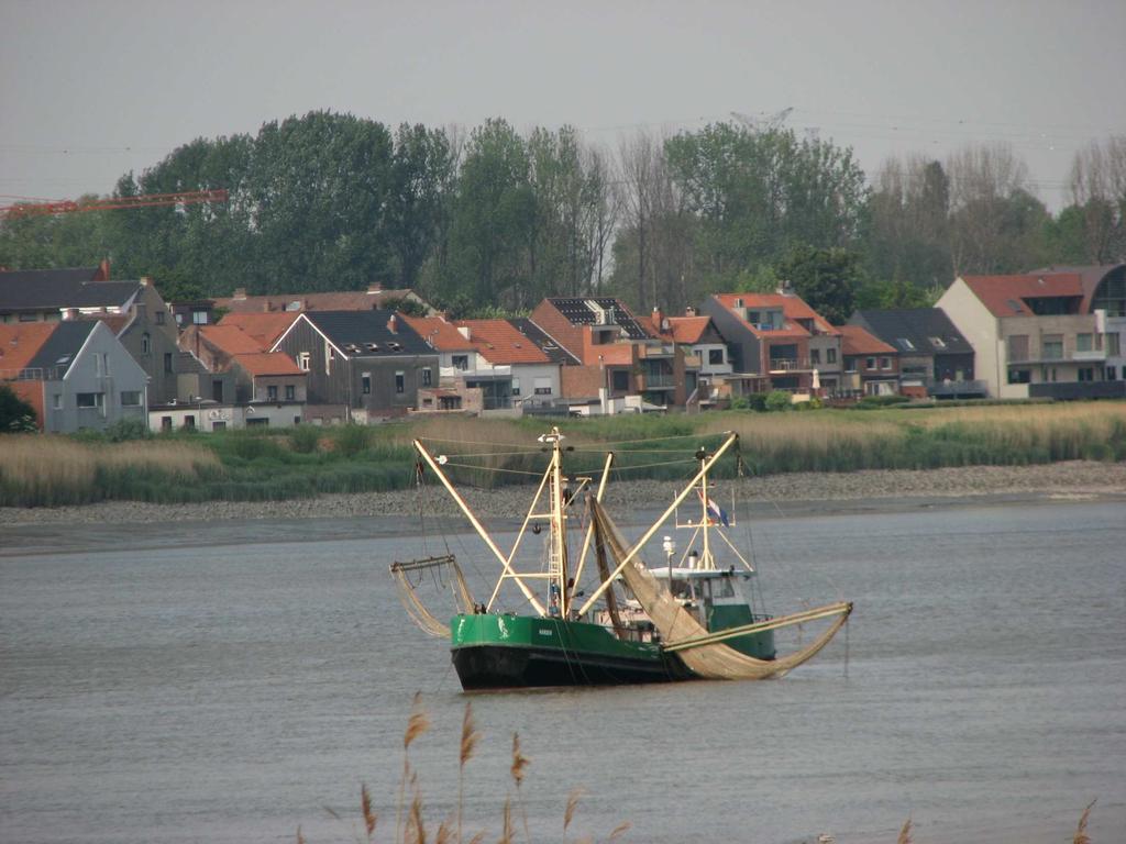 MONEOS Geïntegreerd datarapport Toestand Zeeschelde