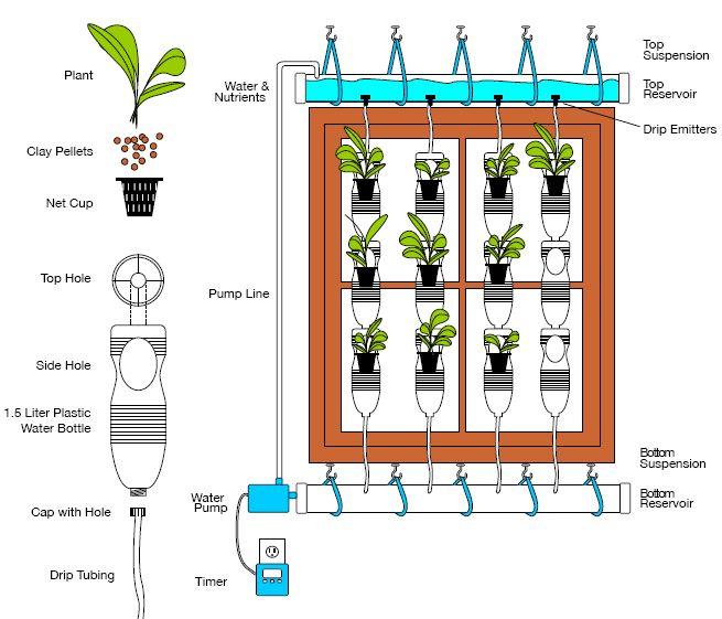 Windowfarming (Ruit teelt): Ruitteeltiseenvoedselproductiesystemvoordestedelingzonderbalkon: Eeneetbareruit Brooklyn:BrittaRaley Gebaseerdophethydroponicsysteem Maaktgebruikvanvloeibarenutriënten