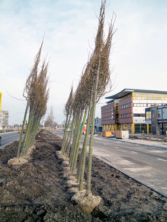 2.1.3 Stadsboulevard Noord De reconstructie van het wegvak langs het Veemarktterrein is volop in uitvoering en wordt begin 2016 afgerond.