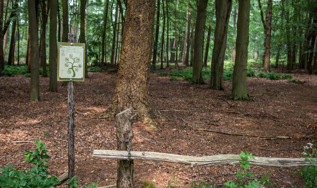 11 Aan uw rechterhand ligt het bos van landgoed Heidehof. De Stichting Heidehof bewaakt het duurzame beheer van de natuur op het landgoed.