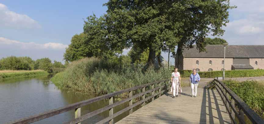 Het deel tussen de Brinksdijk en de Logtse Baan overstroomt gemiddeld één keer per jaar. Het is een moerasbos geworden.