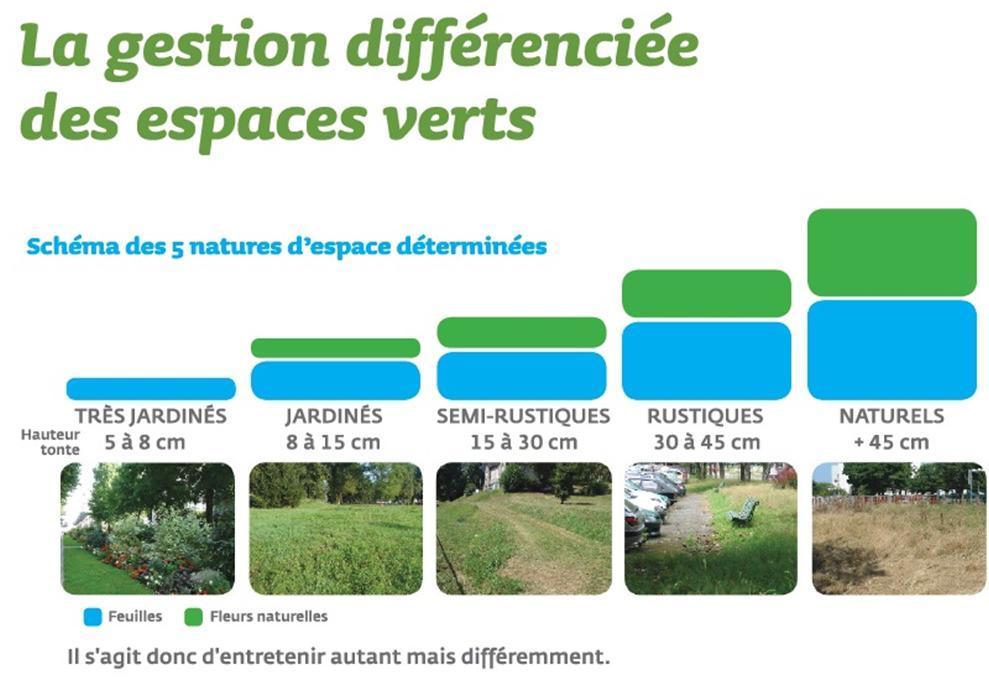 Gedifferentieerd beheer van groene ruimten Ruimte laten voor spontane groei Schema van de 5 gedetermineerde soorten natuur INTENSIEF TUINIERWERK TUINIERWERK HALF-LANDELIJK LANDELIJK