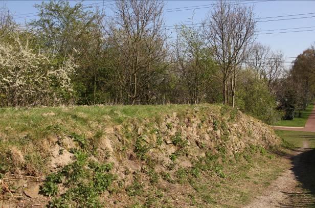 Het omvat bloemrijk vochtig grasland, een bloemrijke oevervegetatie langs poel en greppel,