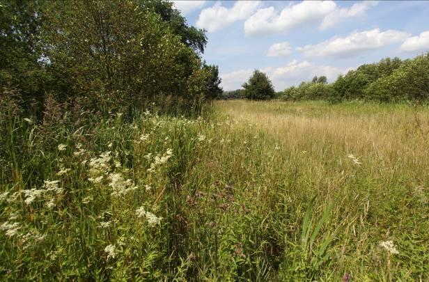 Het omvat vooral veel natte en vochtige graslanden, deels relatief bloemrijk.