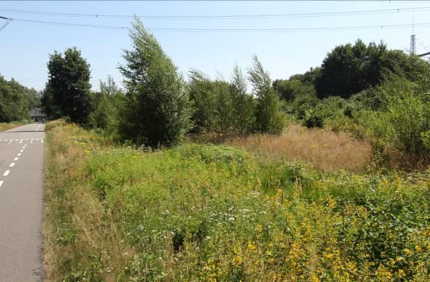 Op dit moment is de situatie echter nog zonnig en vrij bloemrijk.