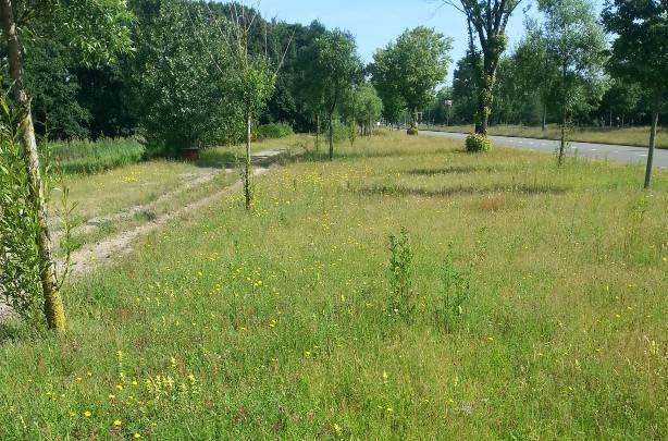 Deze bestaat overwegend uit droog schraal grasland, droog grasland en ruige