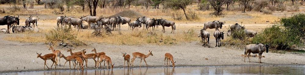 Algemene camper informatie + De bestuurder dient minimaal 23 jaar oud te zijn + Afrika is een stoffig continent met woestijngebieden. en maximaal 85 jaar oud.