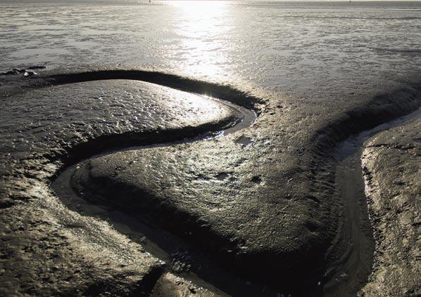 2 Algemene beschrijving van het stroomgebied Hoe schoon en natuurlijk kan de delta worden en wie zijn daar verantwoordelijk voor?