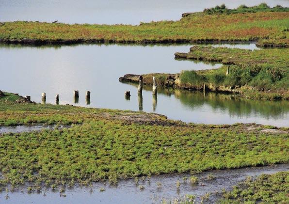 8 Samenhang met WB21, Natura 2000 en andere programma s In het stroomgebied van de Schelde zijn niet alleen maatregelen nodig voor de Kaderrichtlijn Water, maar ook voor Waterbeleid in de 21e Eeuw