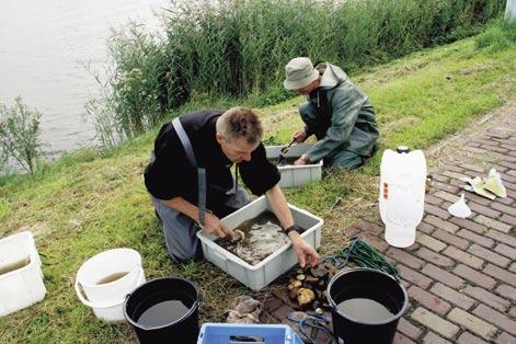 Operationele monitoring Voor operationele monitoring zijn negentien waterlichamen geselecteerd.