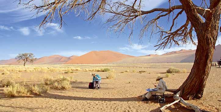 De mooiste highlights van Namibië Ruimte eindeloze ruimte. De vele kleuren rood. Het blauw van de strakke hemel en de hete zon.