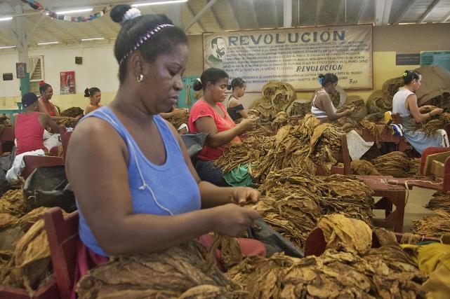 De tabak voor de beroemde Cubaanse sigaren wordt geteeld in de Viñales-vallei.