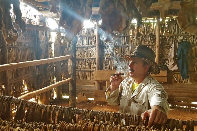 In de vallei is de tabaksteelt de belangrijkste activiteit. Je vindt er ook tal van grotten die een bezoekje waard zijn. Een leerrijke ervaring!