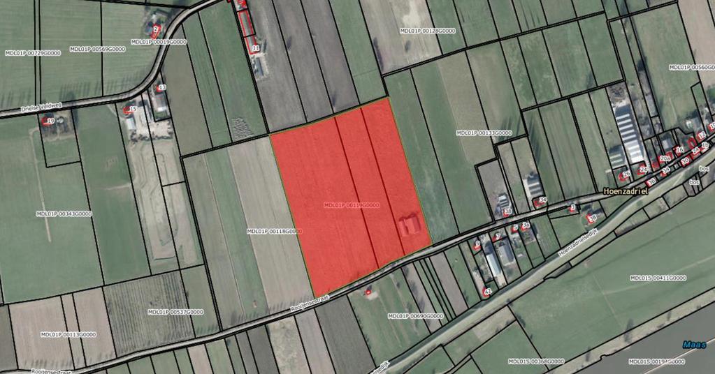 LANDBOUWGROND: Tot het object behoort een oppervlakte landbouwgrond van 14.59.30 ha. Deze oppervlakte is verdeeld over een kavel aan de Rooijensestraat en twee veldkavels.