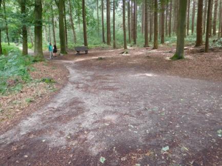 46. Hier maakt de rolstoelroute een scherpe bocht naar links. De hellingshoek van het pad is hier steil.