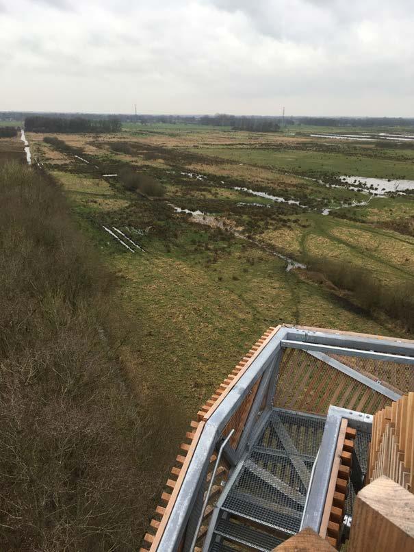 Naar een klimaat-robuust watersysteem De Onlanden Korte introductie De Onlanden is een recent ingericht waterbergingsgebied in het noorden van de Provincie Drenthe.