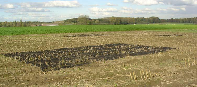 Conclusies bio toetsen Biochar in witveen verbetert de groei van aardbei en de ziekteweerbaarheid tegen Botrytis cinerea Effect minder groot als witveen bekalkt en bemest wordt Effect verbonden met