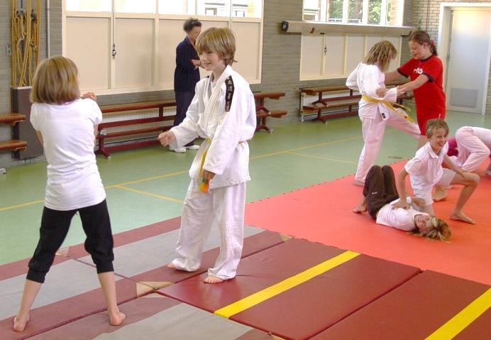Wil je óók een judoles met jouw klas? Vraag aan jouw juf / meester of het mag.