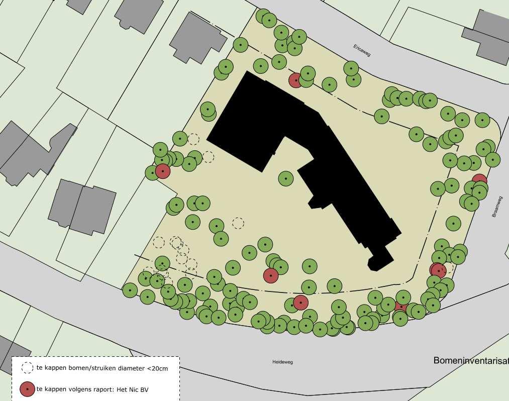 Om de bouw van de woningen mogelijk te maken dienen zeven bomen en enkele jonge bomen gerooid te worden. Nadien zullen er solitaire bomen in het plangebied geplant worden.