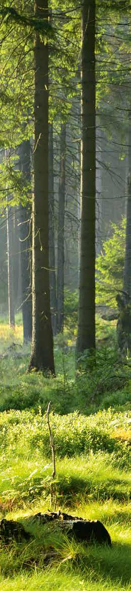Certifé FSC et PEFC, ter Hürne soutient les aspects écologiques et sociaux d une exploitation forestière dont la traçabilité est sans lacune et la durabilité reconnue.