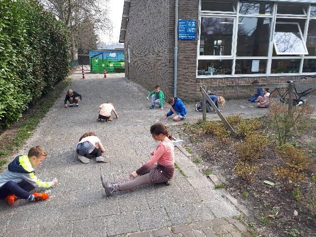 Vandaag hebben we ons beste beentje voor gezet bij het opruimen van het schoolplein en de schooltuin.