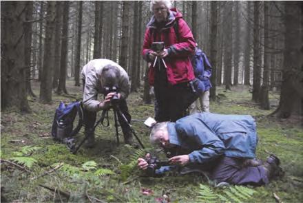 10 oktober: fijnsparplantage bij Ohlenhardt/afsluiting Bad Münstereifel We maken ons op voor vertrek naar Nederland, maar doen eerst nog een biotoop aan die we nog niet bezocht hebben.