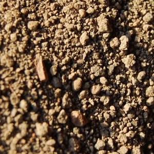 Schelpen van verschillende schelpenbanken in de Noordzee worden gebaggerd, gereinigd, verhit en vermalen tot een granulaat. Door deze granulaatvorm komen de bufferende elementen trager beschikbaar.