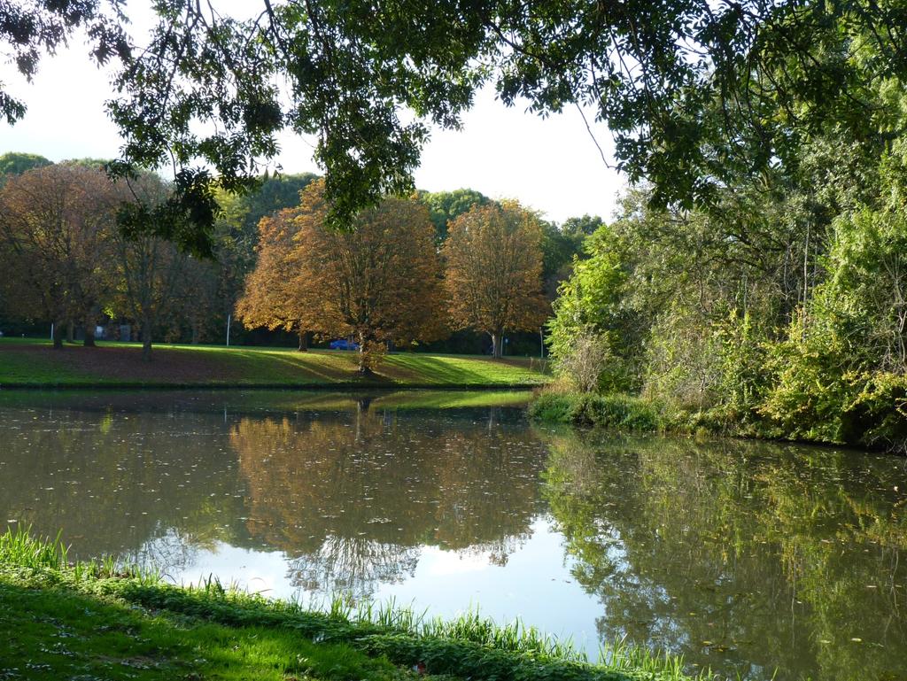 Develpark Foto van Ina de Bruin Herfst, De dagen zijn soms zonnig, koud en nat de bladeren vallen van de bomen en de straat is glad.