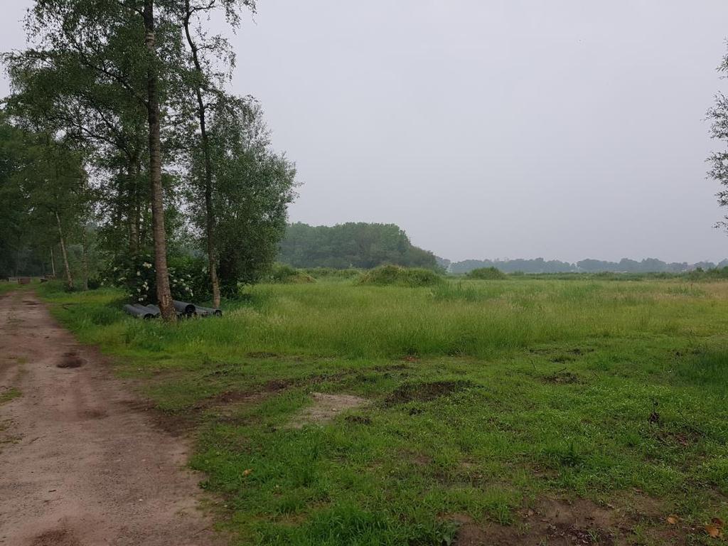 voorkeur uit dezelfde natuurbeheertypen te bestaan of anders uit een type van vergelijkbare natuurwaarde. Figuur 2.2 Foto van het plangebied op Camping Wedderbergen.