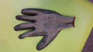 Handschoen Staat symbool voor arm: