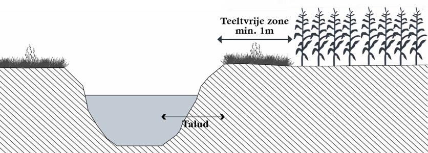 De laatste meter Beleidsreactie op % rode MAP-meetpunten Wat? 1 meter vanaf de insteek (= de bovenste rand van het talud van de waterloop) Waar?