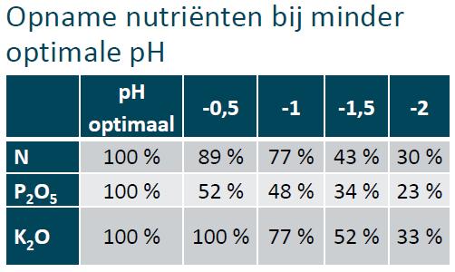 Mestweetjes: achtergrond - fosfor Ongeveer 1/3 van minerale fosfor is relatief makkelijk beschikbaar Totale fosfaat (100 %: tot 15 ton/ha) Plantbeschikbare fosfaat (+/- 30 %) P-afvoer door oogst kg P