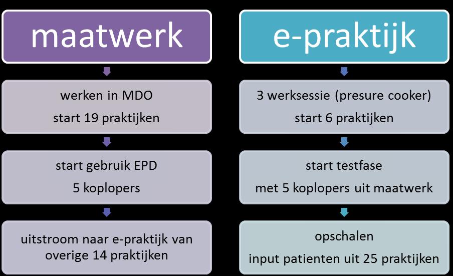 6 Zorgplan in het EPD (zie figuur 2. De samenhang van de twee deelprojecten). Figuur 2.