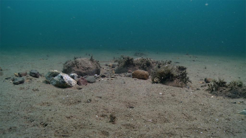 Afbeelding 8 Overzichtsbeelden van relatief kale stenen in het duikgebied in 2017.