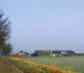 2 LANDSCHAPSDYNAMIEK EN RUIMTEGEBRUIK Door de bouw van grote stallen krijgen landbouwbedrijven een meer industrieel karakter (foto: Wim Nieuwenhuizen).