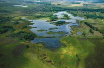 6 ECOLOGISCHE HOOFDSTRUCTUUR Strabrechtse Heide: milieubeleid en beheer versterken elkaar De Strabrechtse Heide ligt ten zuidoosten van Eindhoven.