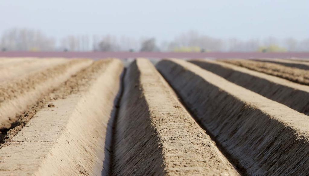 AKKERBOUW INKOMSTEN TOTALEN (euro) Promotiefondsbijdragen 729.000 Middelen uit EU-dossiers (lopende en ingediende) 864.