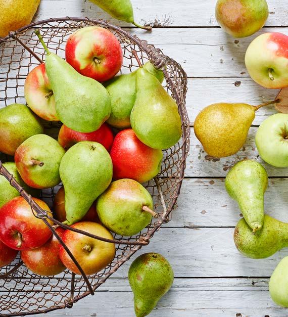 Met verschillende acties wordt de promotie van Flandria-groenten in het binnenland voortgezet in 2019. FRUIT In 2019 zal VLAM een nieuwe campagne opstarten voor zachtfruit.