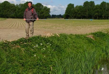 drijver Wandelend