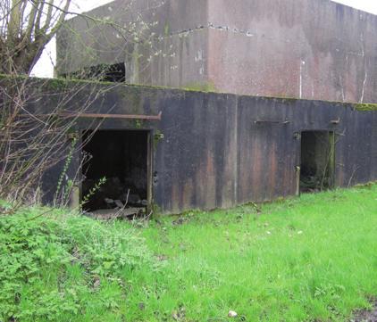 87 70 Op verschillende plaatsen is de oever van het Leiekanaal ingevallen. Ijsvogels en oeverzwaluwen maken er dankbaar gebruik van om er hun nestgang in te graven.