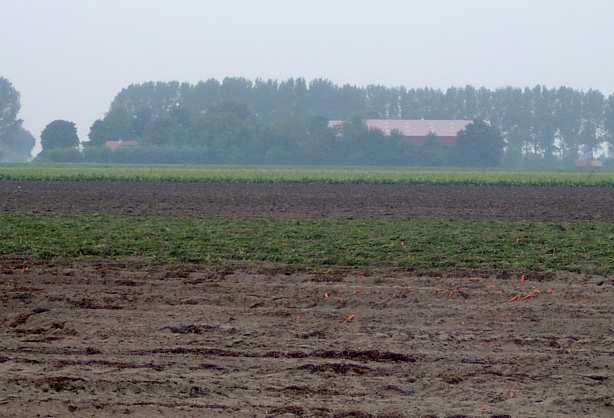 Effect in verschillende gronden Dosis en