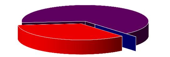 0% 3,1; 19% 0,0; 0% Gasverbruik (verwarming e.d.