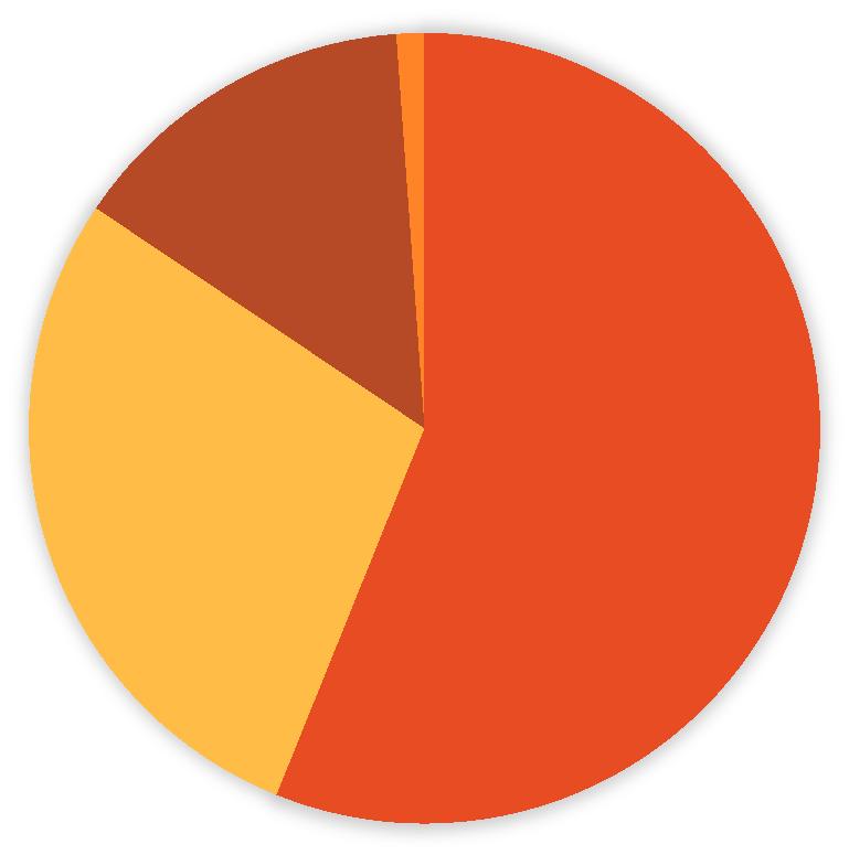 Bijberoep 40% Actief na pensioen 3% Hoofdberoep 57% VRIJE BEROEPEN STARTEN IN HOOFDBEROEP De starters in een vrij beroep doen dit voor 57,05% in hoofdberoep, voor 40,05% in bijberoep, en voor 2,90%