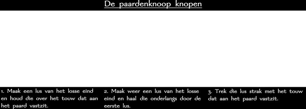 Gebruik hiervoor de paardenknoop. Deze knoop gaat niet los als het paard gaat hangen, maar kan als het nodig is wel in één beweging worden losgetrokken.